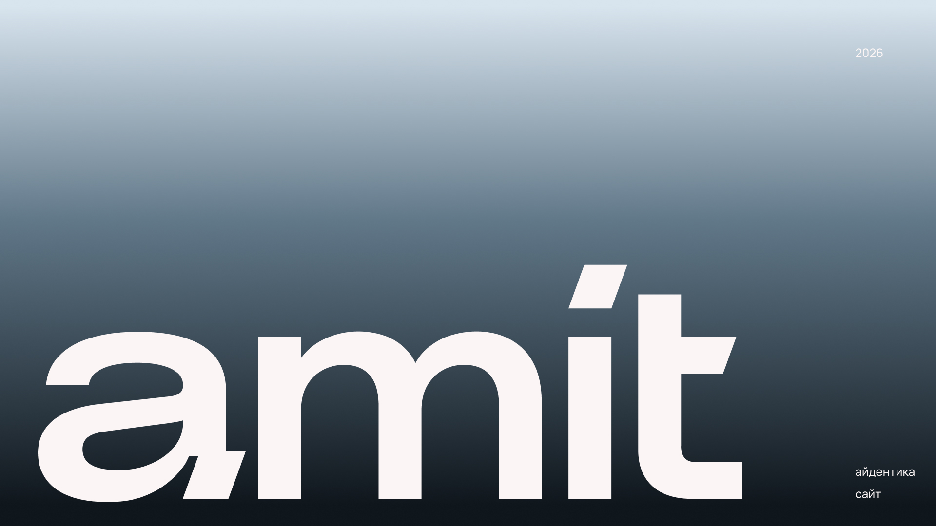 AMIT | Айдентика и сайт — Изображение №1 — Интерфейсы, Брендинг на Dprofile