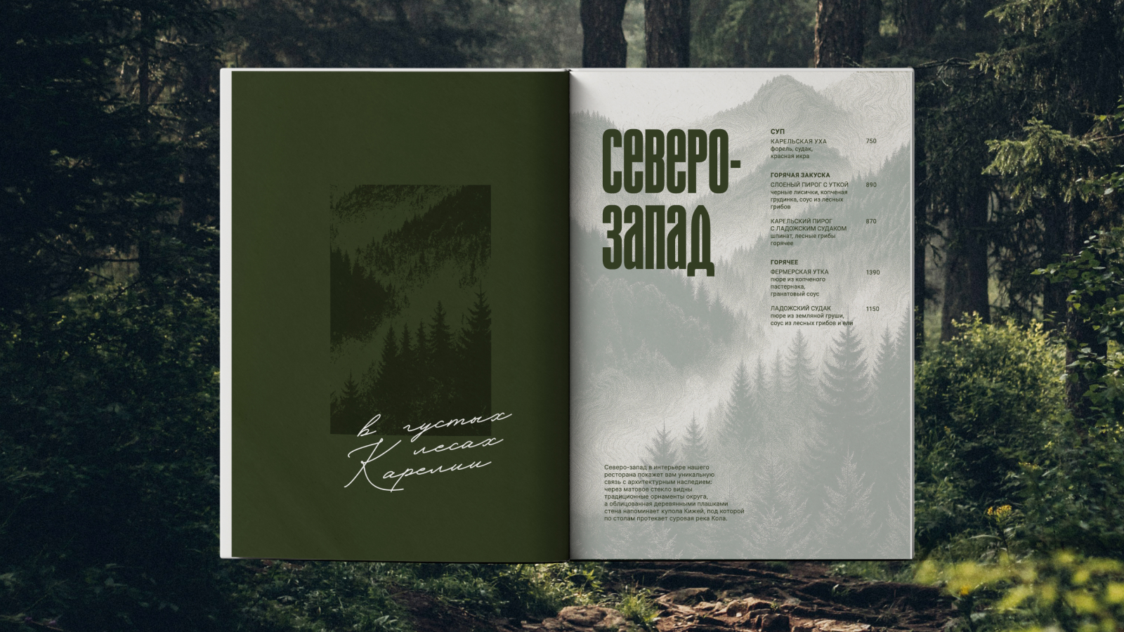 Regions — Изображение №13 — Брендинг, Нейро на Dprofile