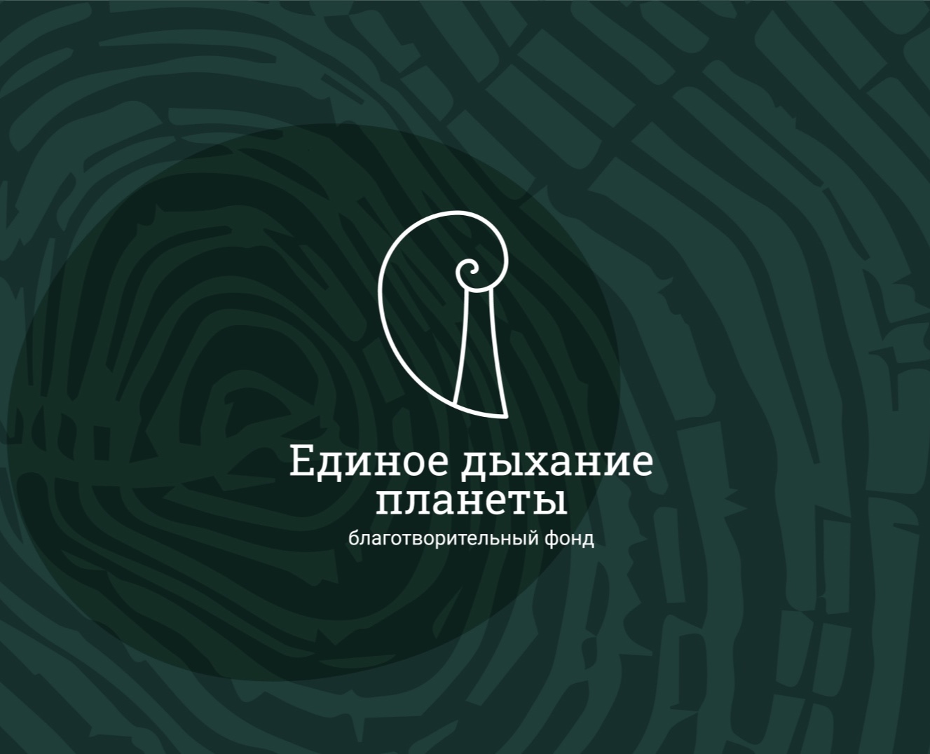 Благотворительный фонд — Брендинг на Dprofile
