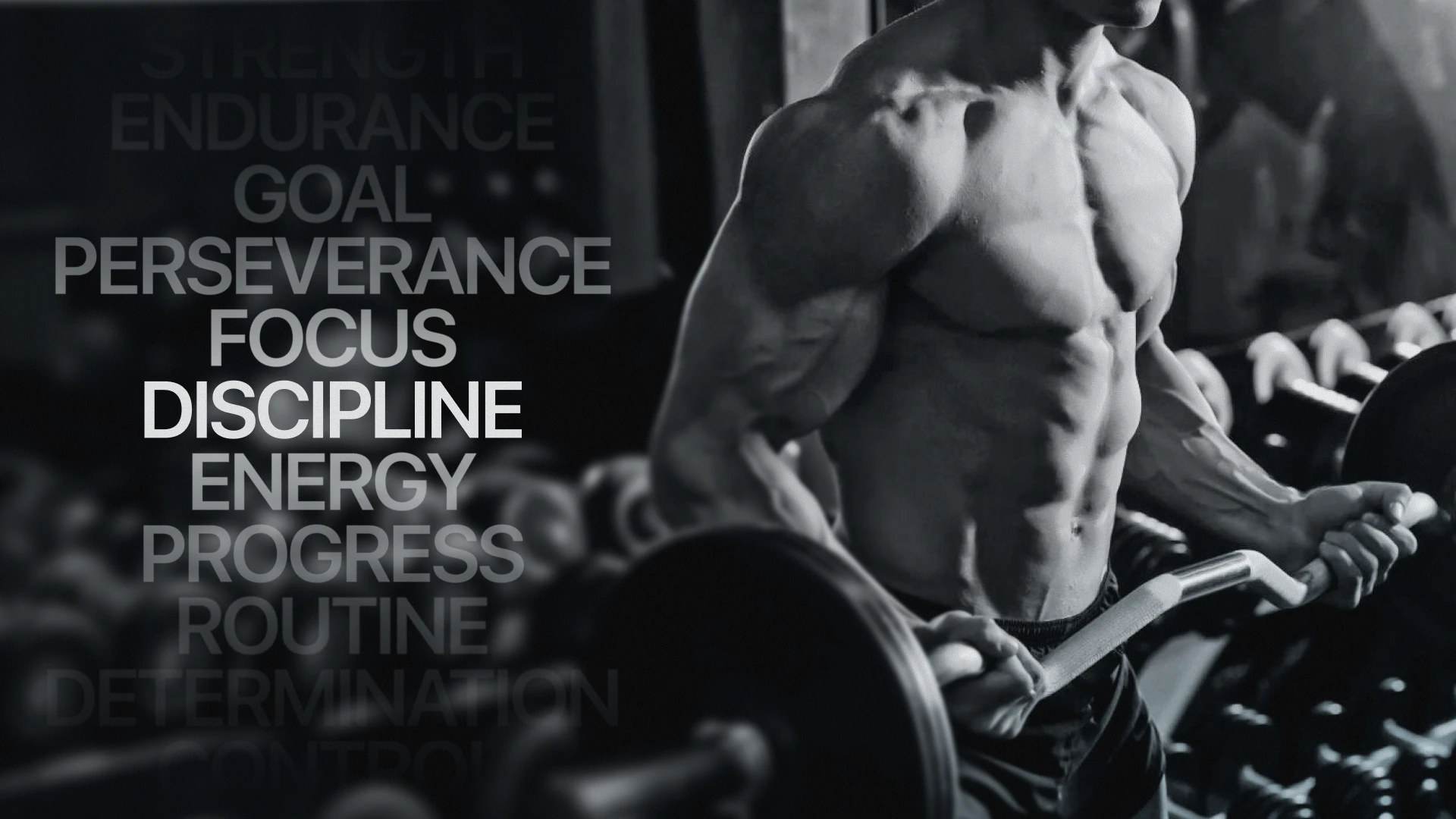 FITNESS HOUSE | Mobile App — Изображение №4 — Интерфейсы на Dprofile