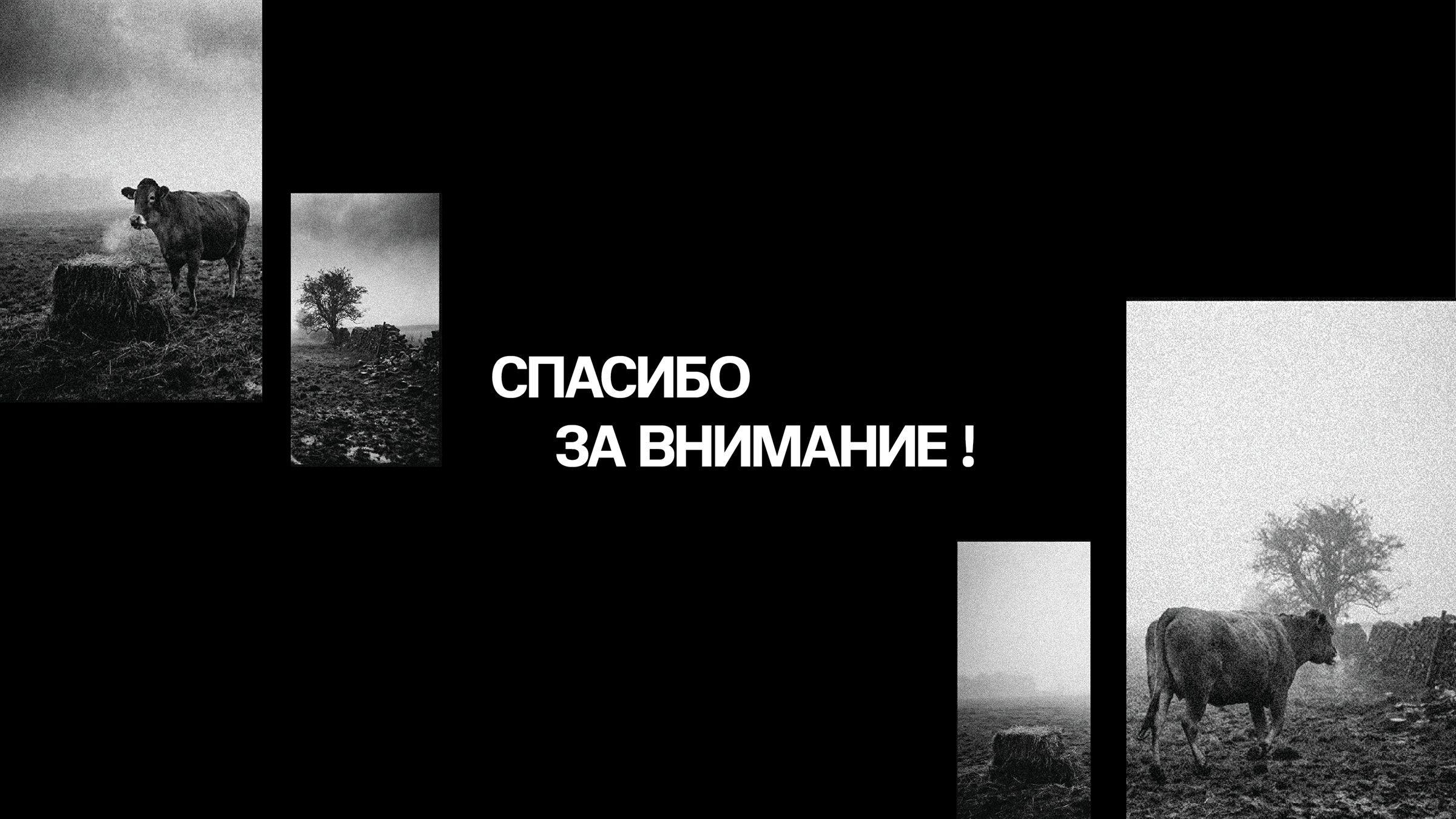 Айдентика для фестиваля авторского кино — Изображение №12 — Брендинг на Dprofile