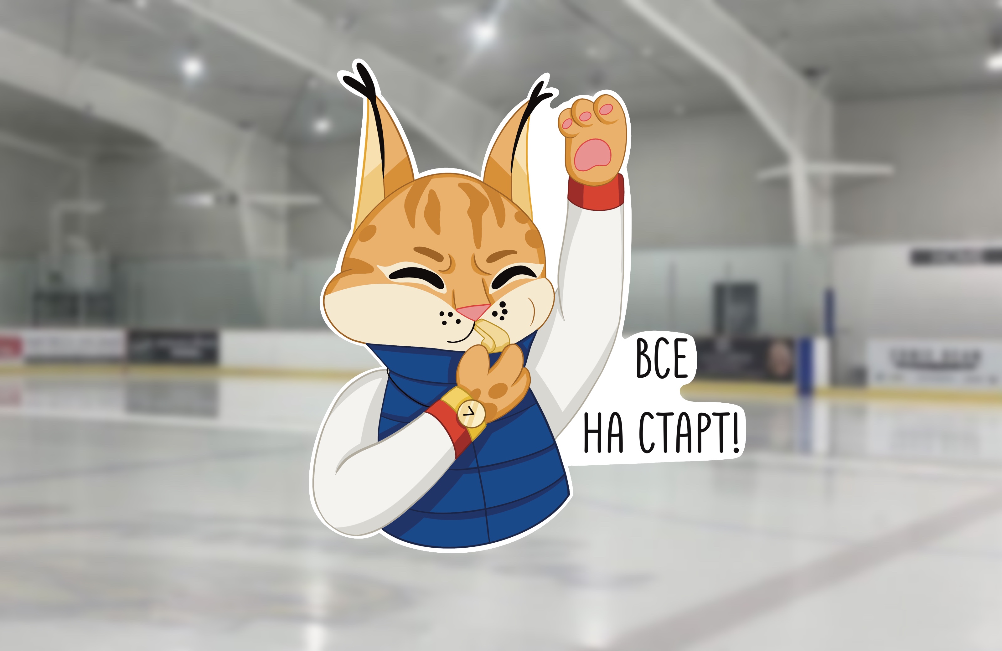 Стикерпак для школы фигурного катания — Изображение №16 — Брендинг, Иллюстрация на Dprofile