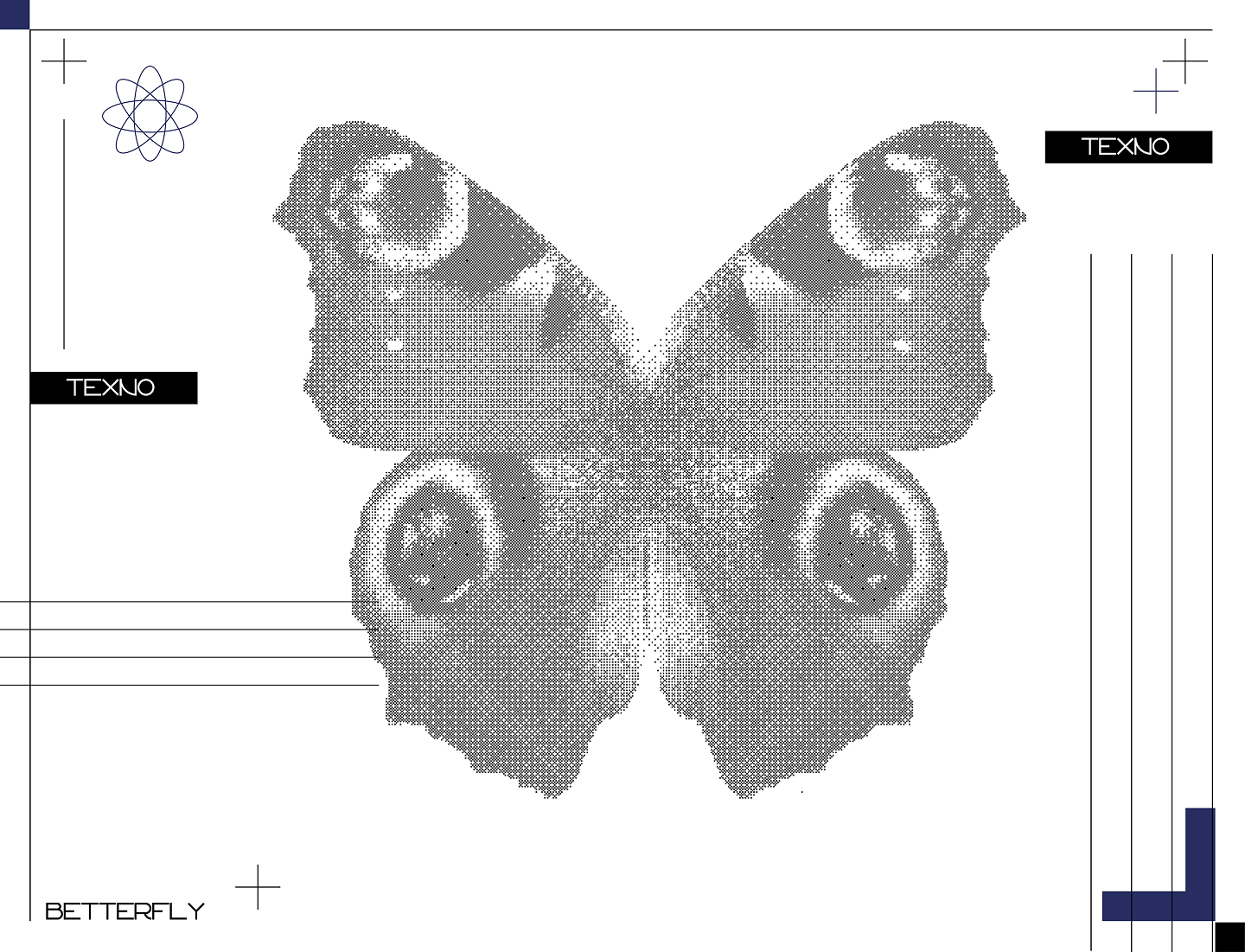 BUTTERFLY — Изображение №1 — Брендинг на Dprofile