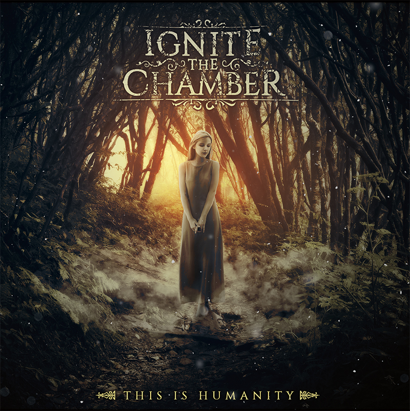 Обложки для музыкальных коллективов 2012-2014 гг — Изображение №16 — Иллюстрация, Графика на Dprofile