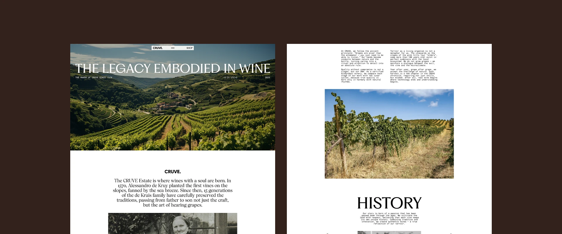 CRUVE. Winery — Изображение №20 — Интерфейсы на Dprofile