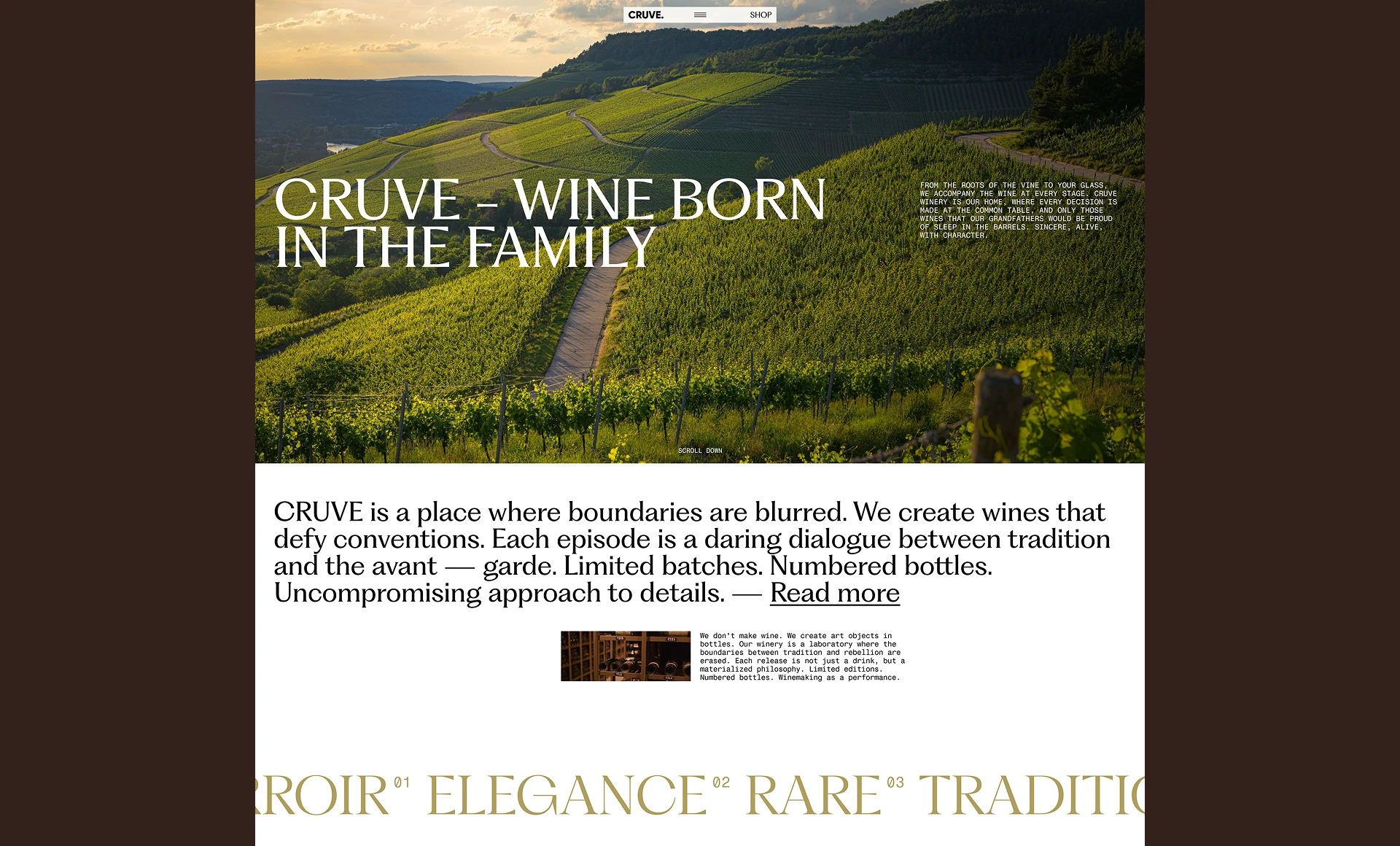 CRUVE. Winery — Изображение №3 — Интерфейсы на Dprofile