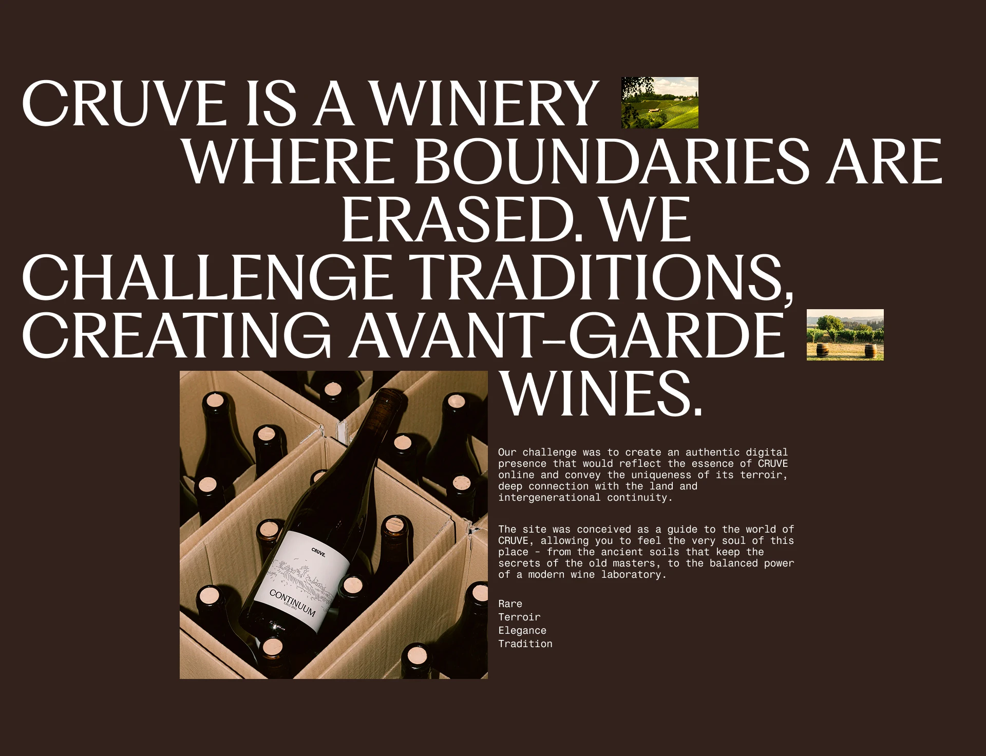 CRUVE. Winery — Изображение №2 — Интерфейсы на Dprofile