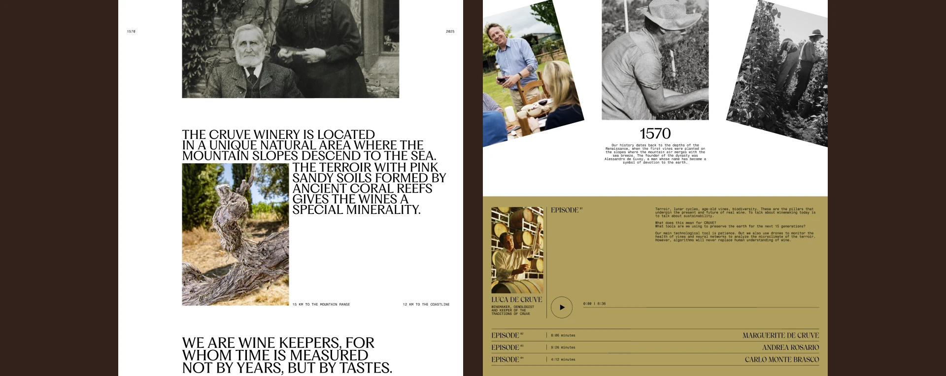 CRUVE. Winery — Изображение №21 — Интерфейсы на Dprofile