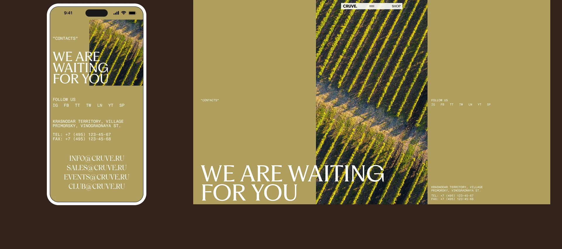 CRUVE. Winery — Изображение №25 — Интерфейсы на Dprofile