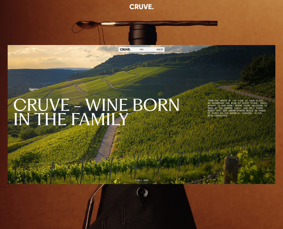 CRUVE. Winery на Dprofile