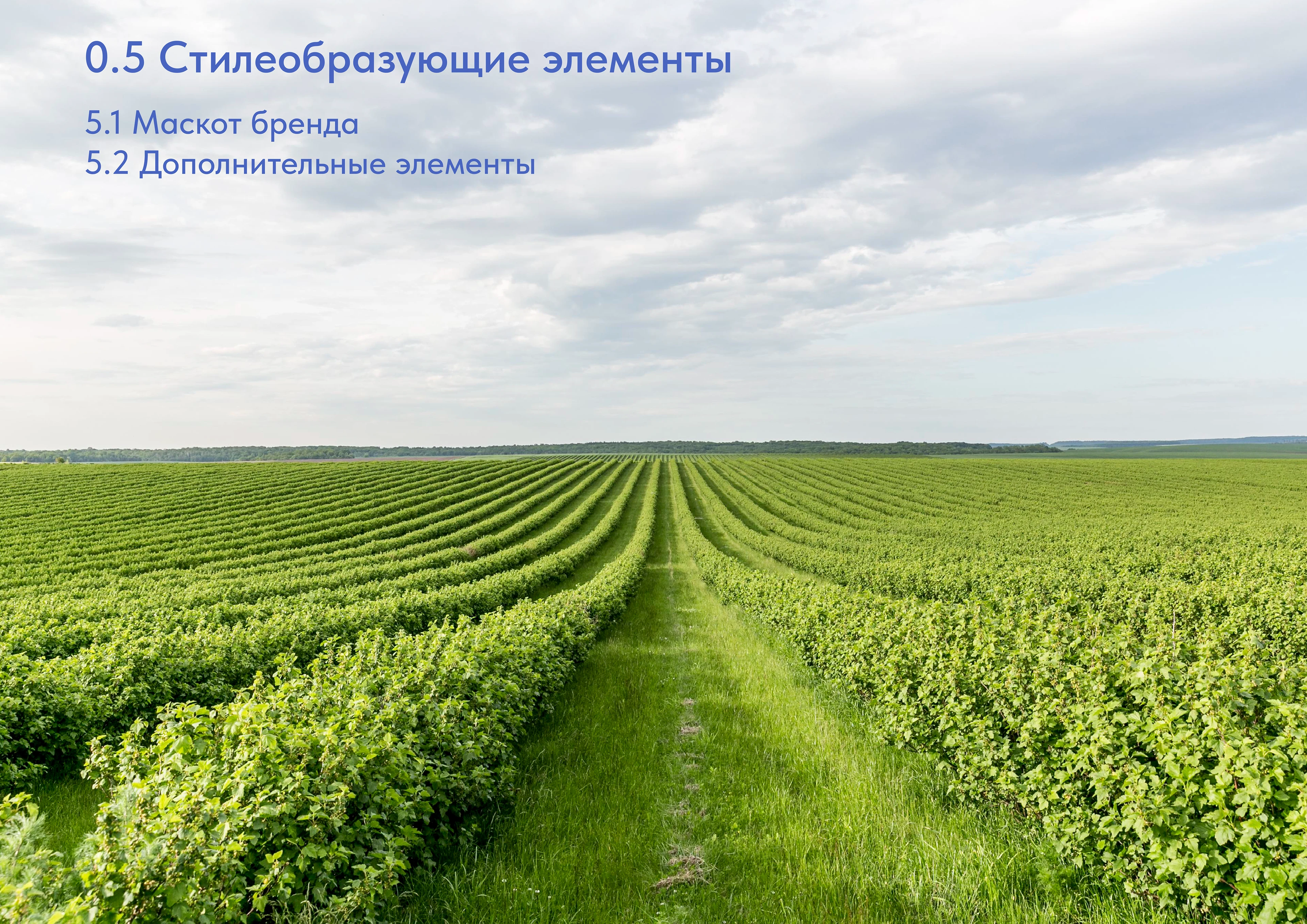 Брендбук "Пес Пастушок" — Изображение №18 — Брендинг на Dprofile