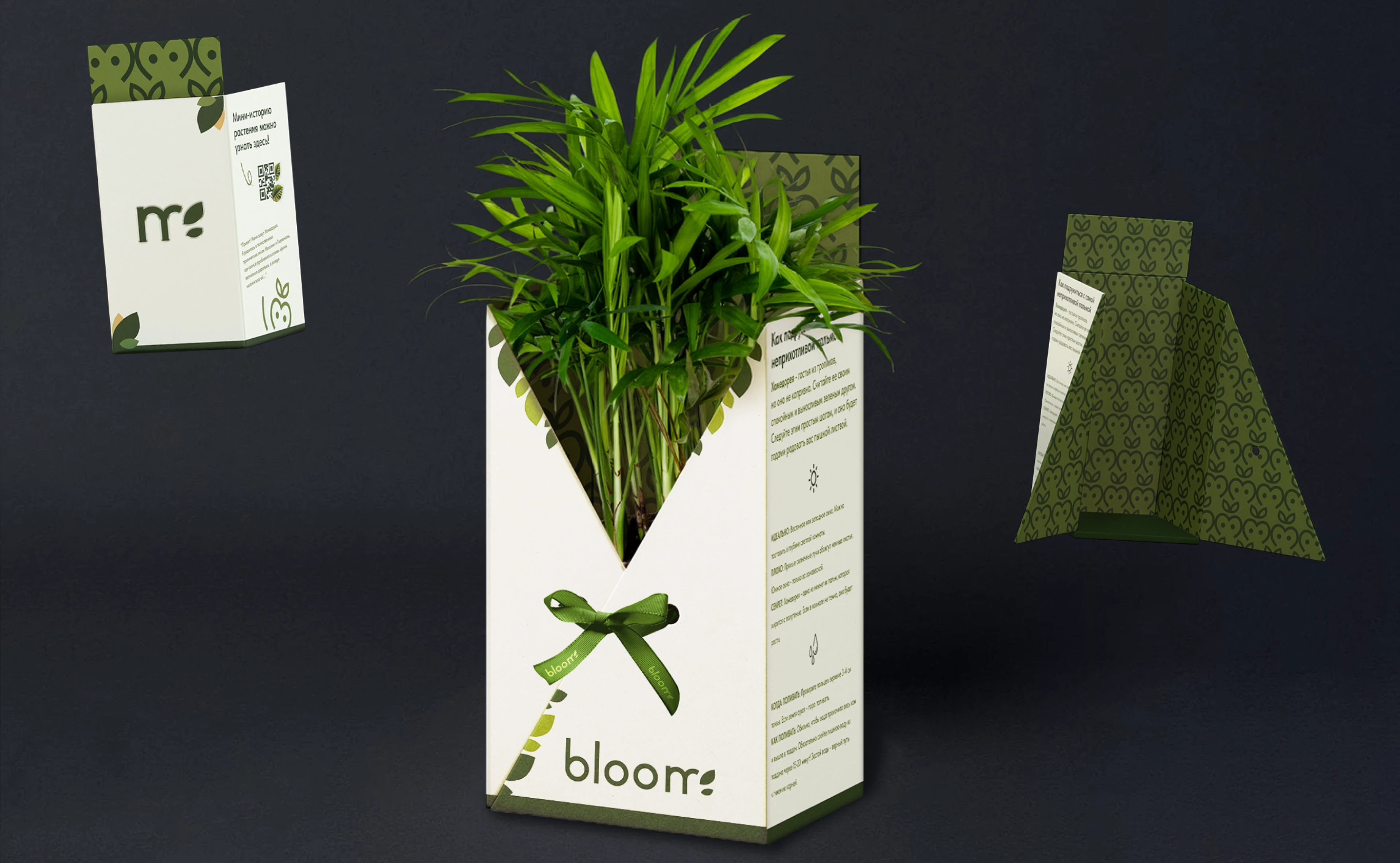 Портфолио 2026 графический дизайнер — Изображение №22 — Брендинг, Графика на Dprofile