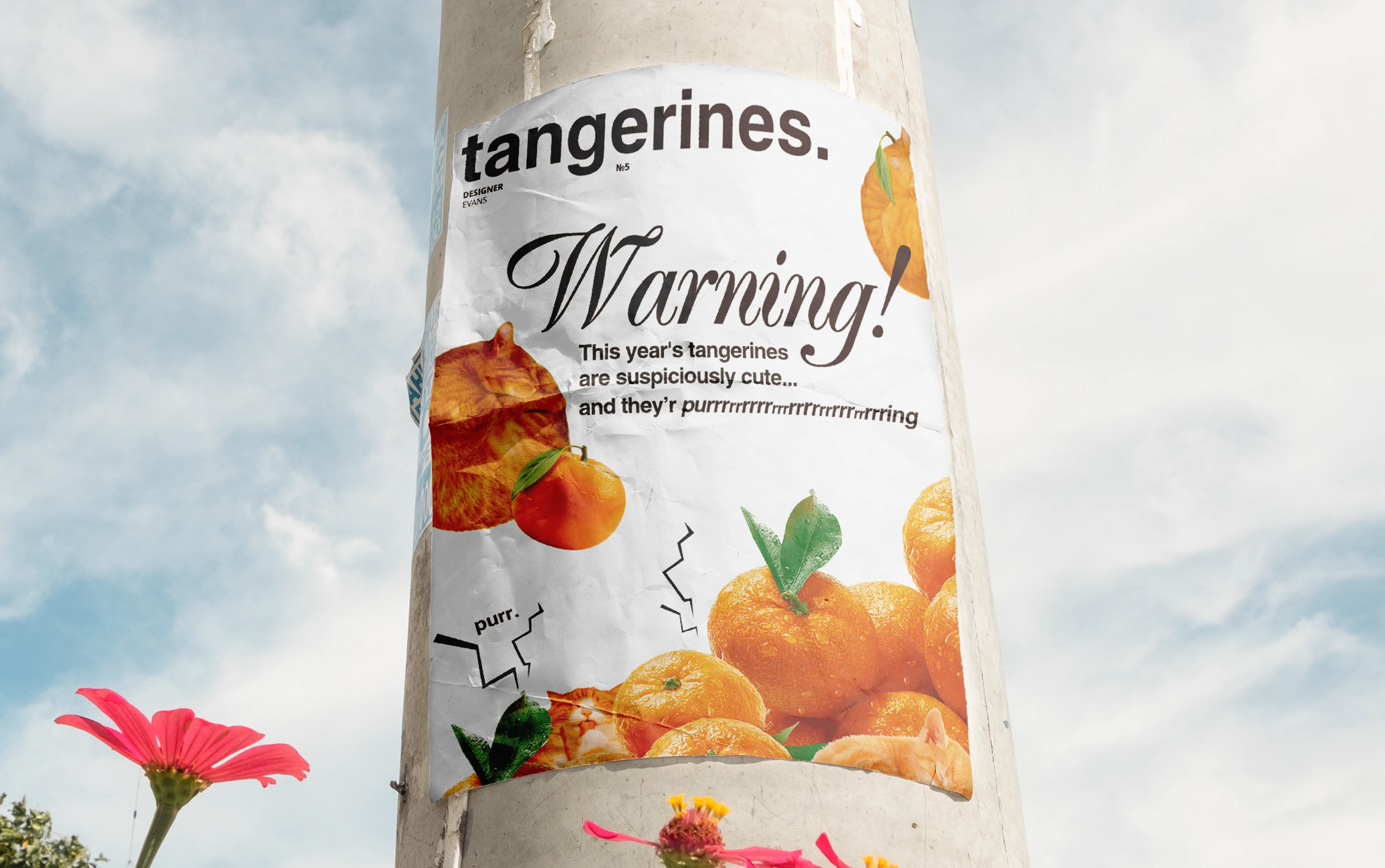 Портфолио 2026 графический дизайнер — Изображение №35 — Брендинг, Графика на Dprofile