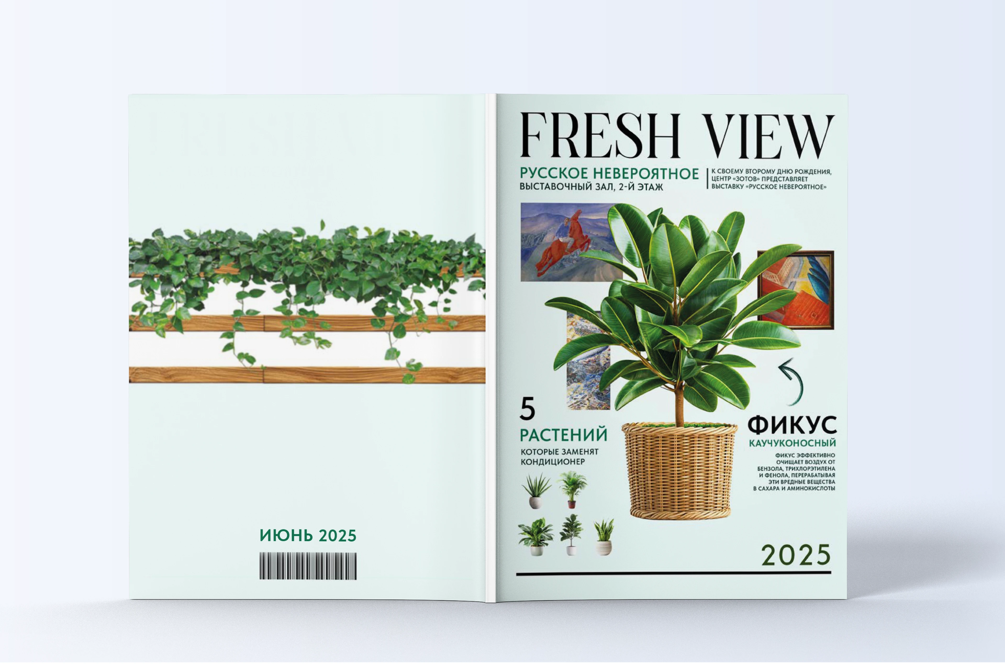 Портфолио 2026 графический дизайнер — Изображение №30 — Брендинг, Графика на Dprofile