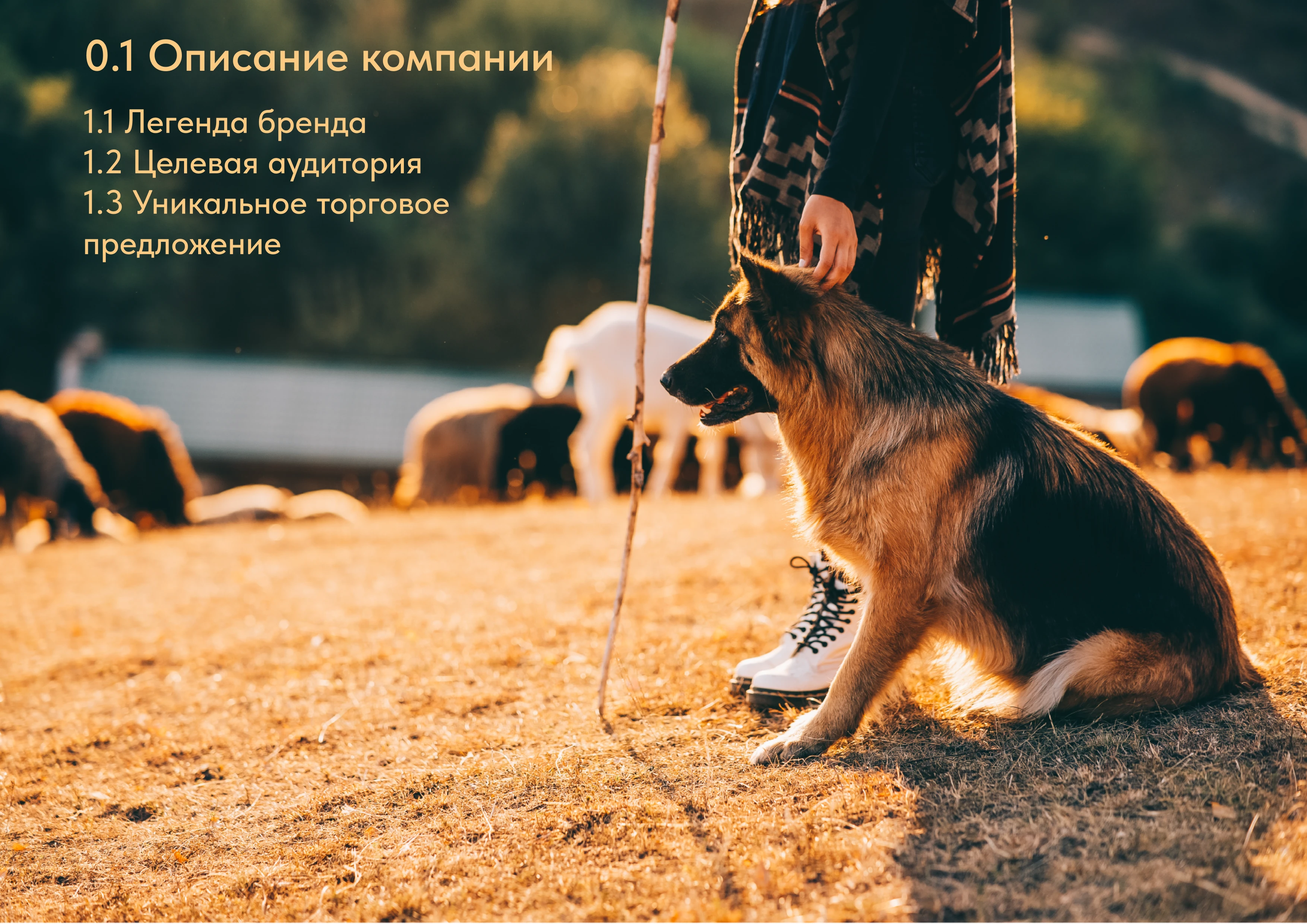 Брендбук "Пес Пастушок" — Изображение №2 — Брендинг на Dprofile