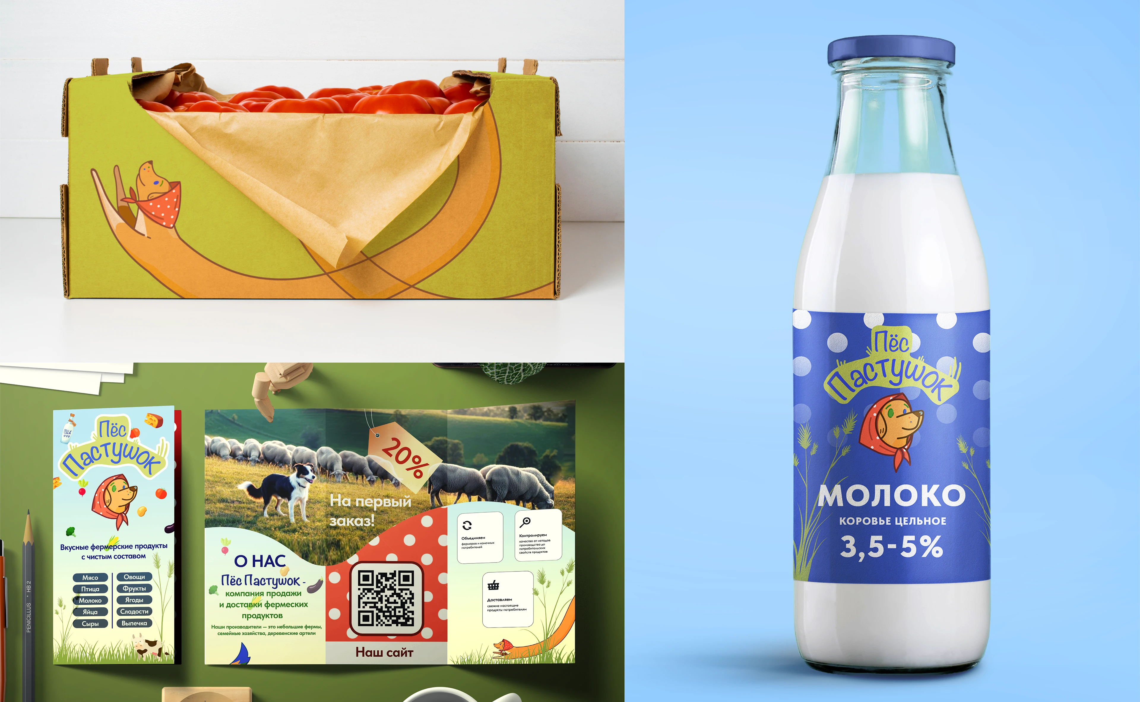 Портфолио 2026 графический дизайнер — Изображение №9 — Брендинг, Графика на Dprofile