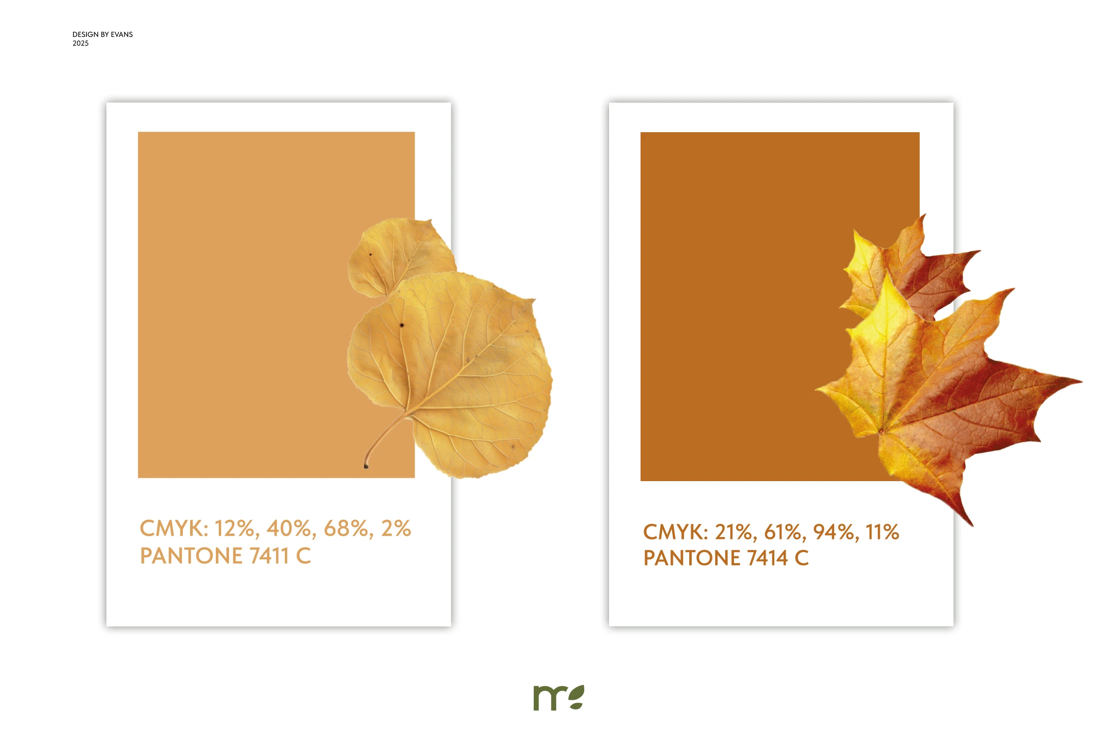 Упаковка "Bloom" — Изображение №4 — Брендинг на Dprofile