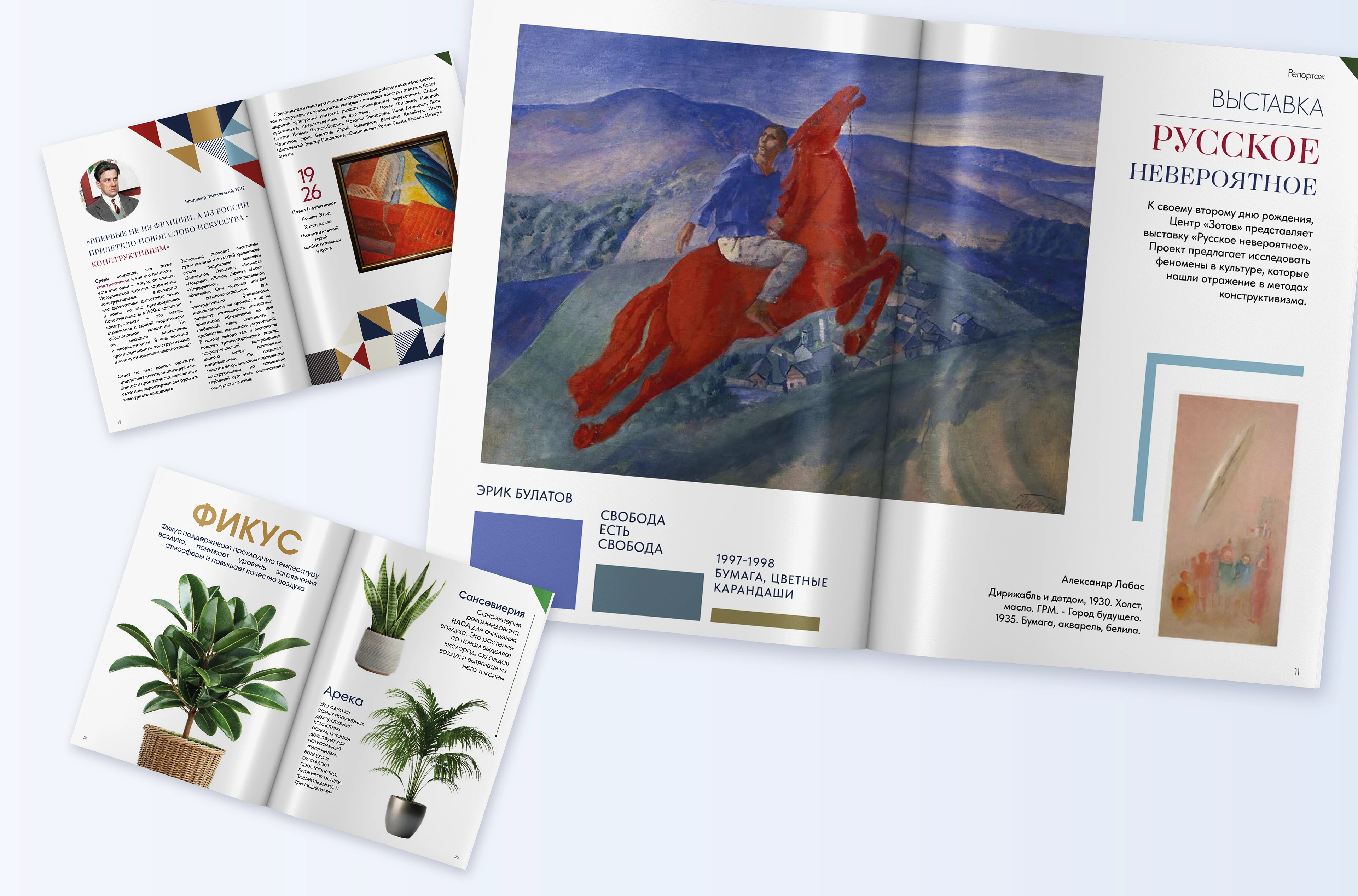 Портфолио 2026 графический дизайнер — Изображение №32 — Брендинг, Графика на Dprofile