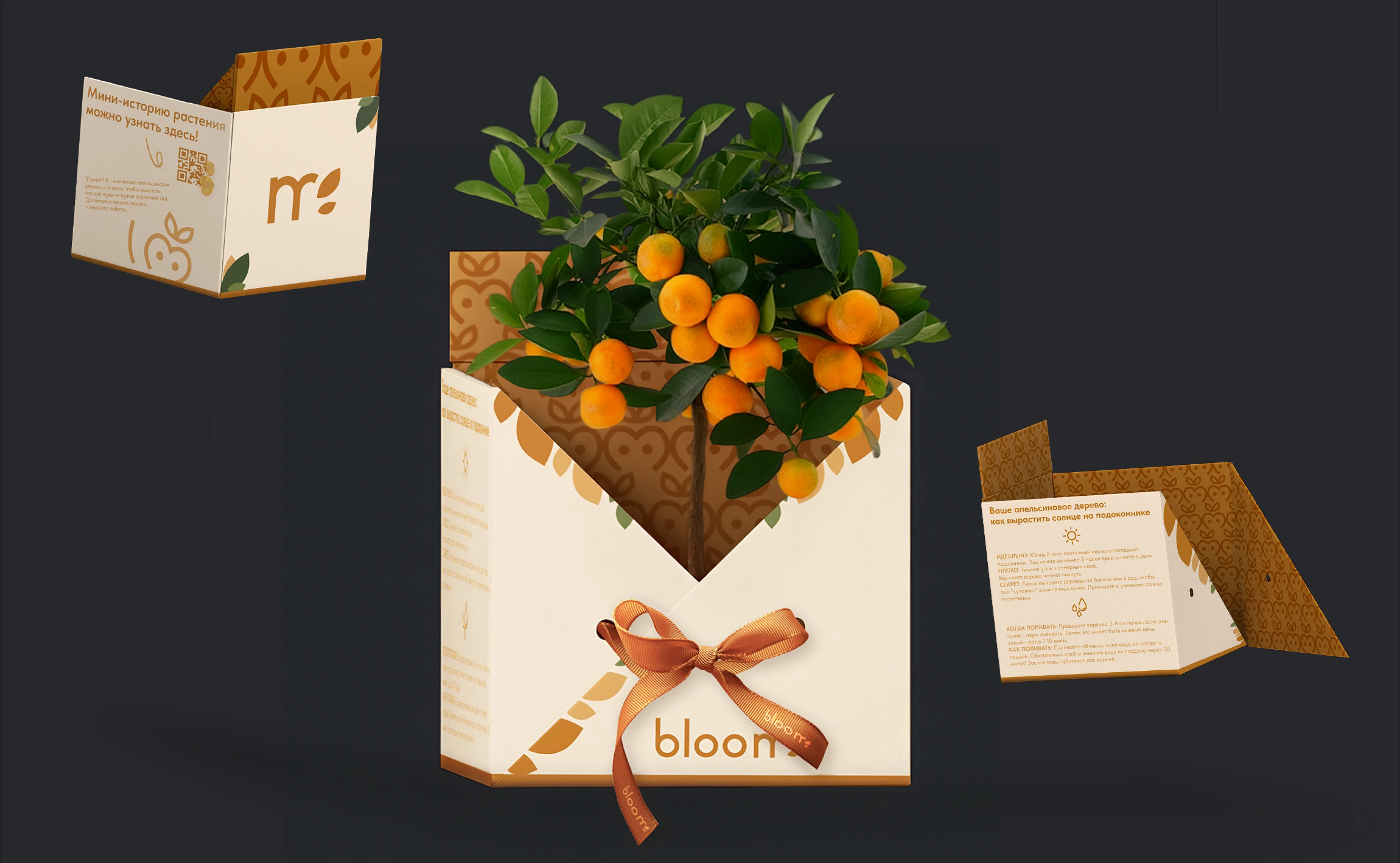 Портфолио 2026 графический дизайнер — Изображение №23 — Брендинг, Графика на Dprofile