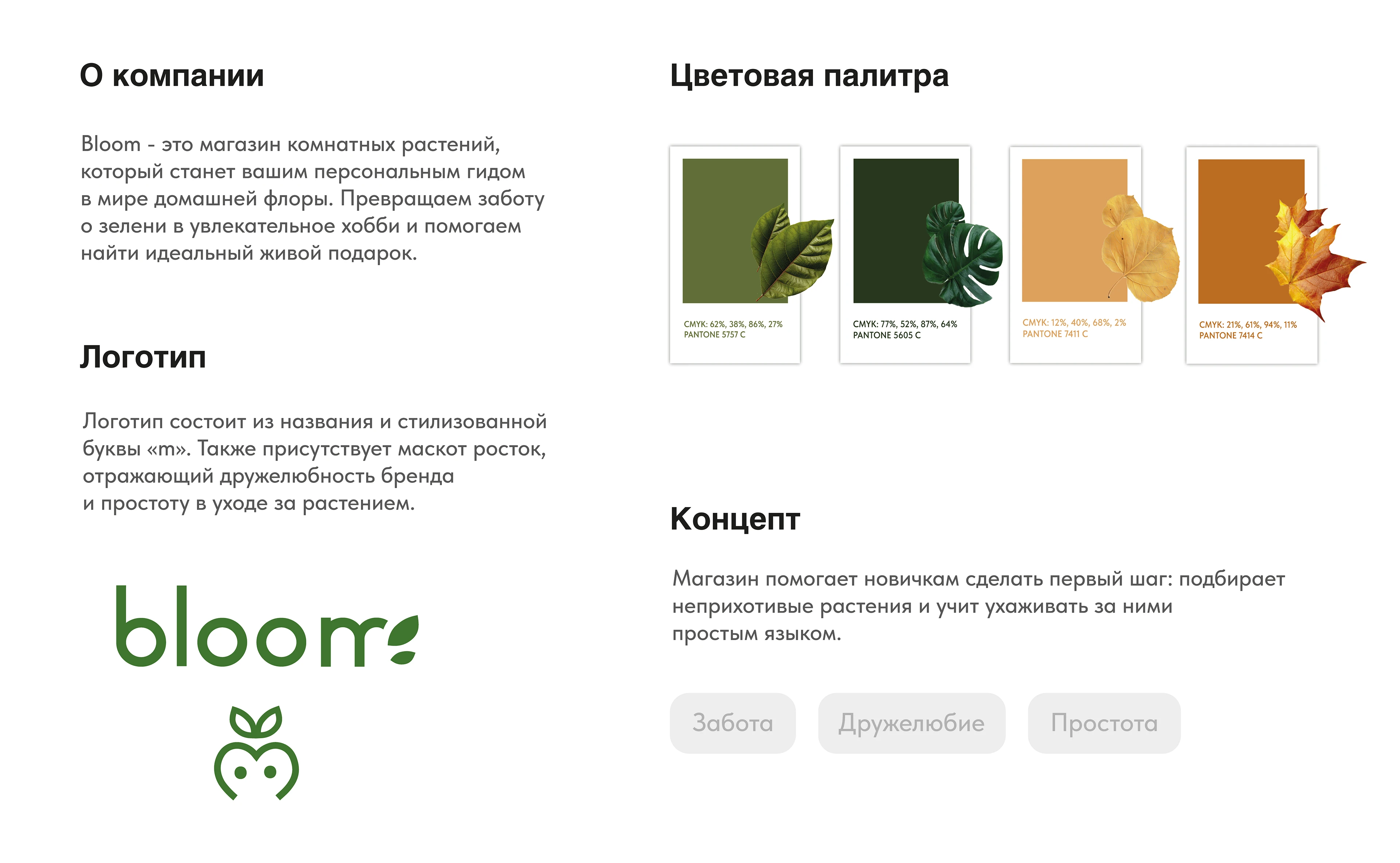 Портфолио 2026 графический дизайнер — Изображение №21 — Брендинг, Графика на Dprofile