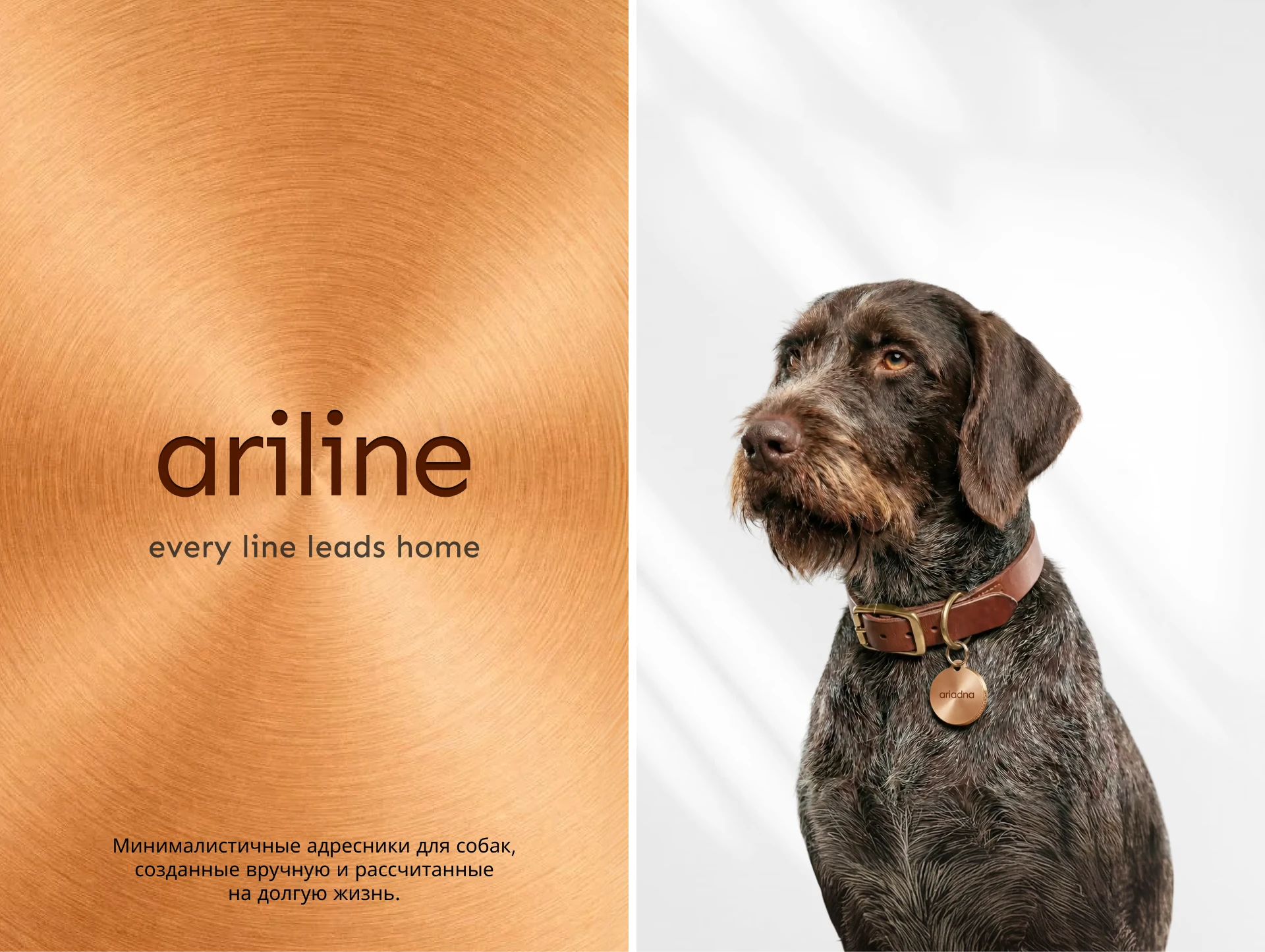 AriLine — адресники для домашних животных — Изображение №7 — Интерфейсы на Dprofile