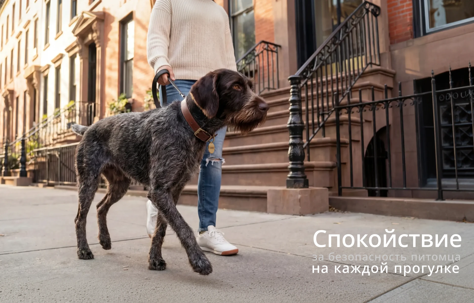 AriLine — адресники для домашних животных — Изображение №5 — Интерфейсы на Dprofile