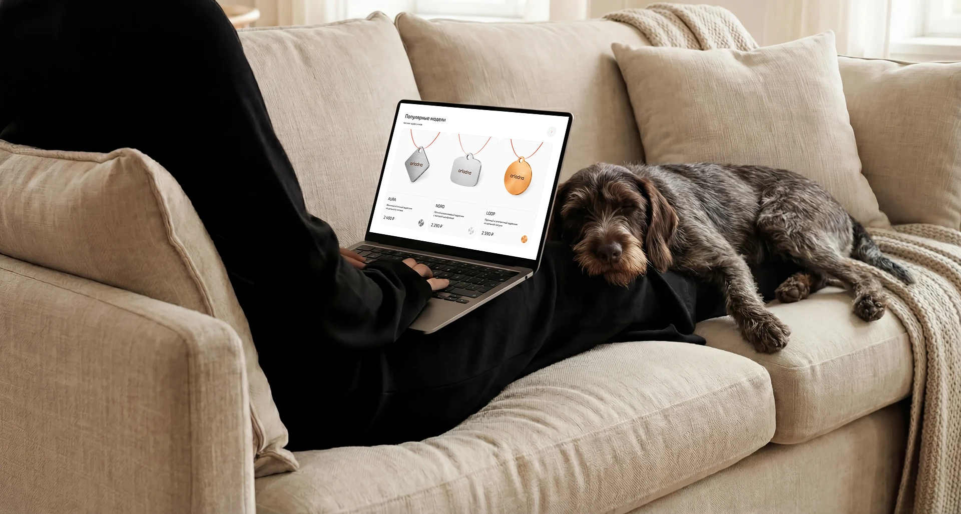 AriLine — адресники для домашних животных — Изображение №2 — Интерфейсы на Dprofile