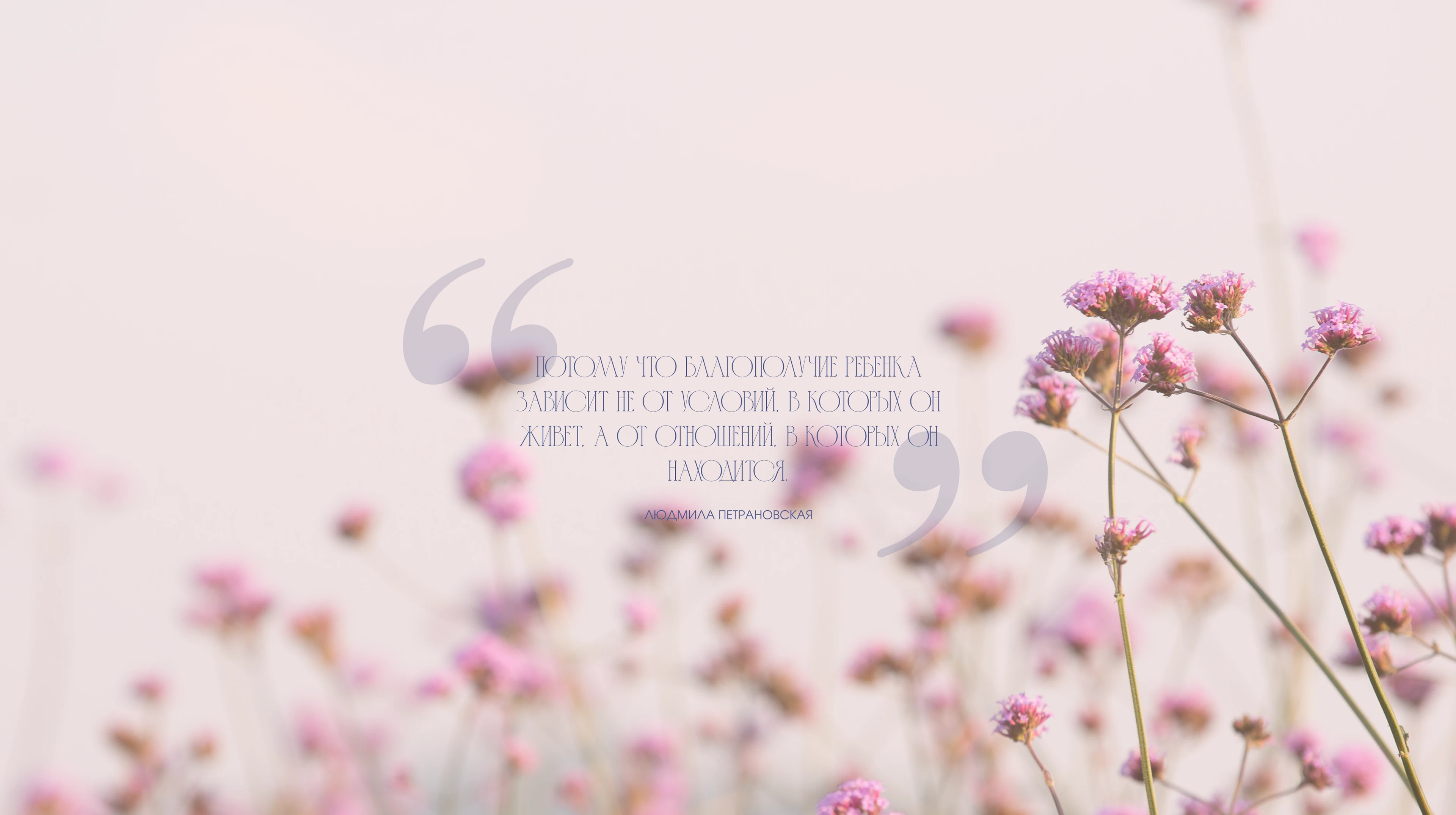 Айдентика для психолога (VK, TG, стикеры) — Изображение №11 — Брендинг на Dprofile