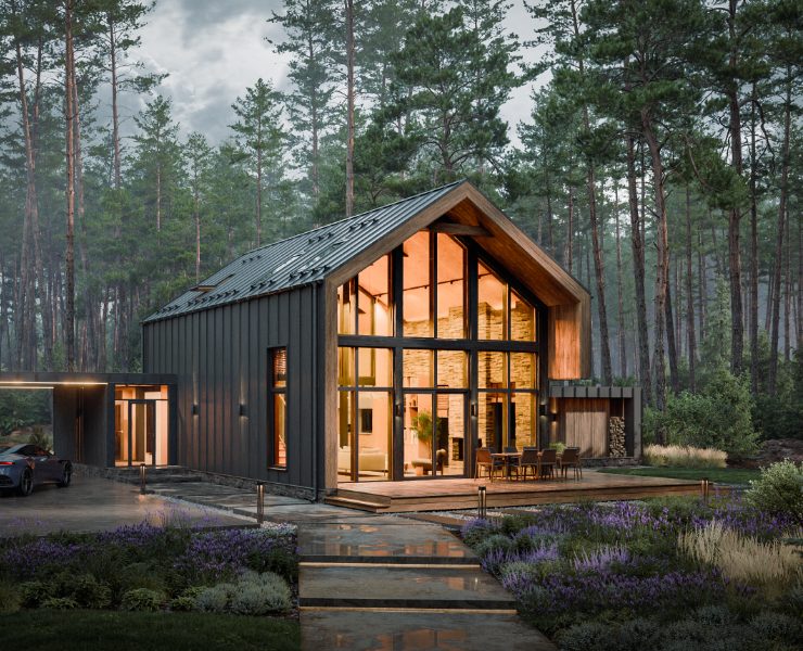 Barn House in the Pine Forest — 3D, Архитектура на Dprofile