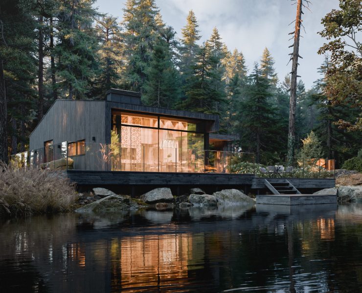 House Beneath the Canopy — 3D, Архитектура на Dprofile
