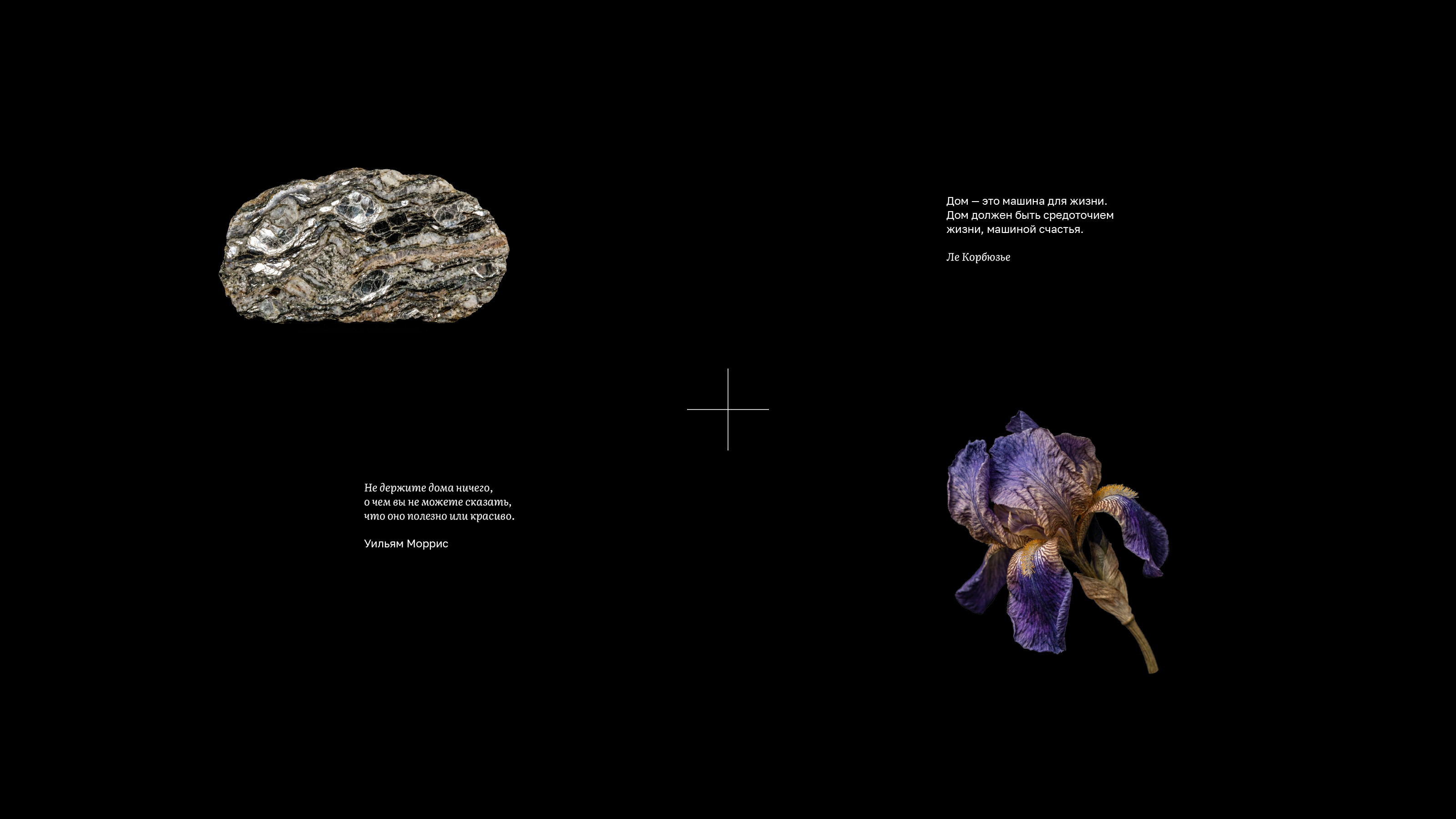 ДЦКК — Изображение №18 — Брендинг, Графика на Dprofile