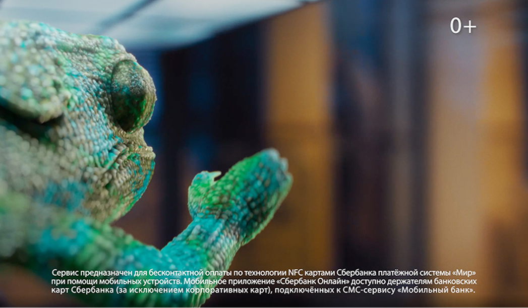 3D-хамелеон|SberPay — Изображение №16 — 3D, Анимация на Dprofile