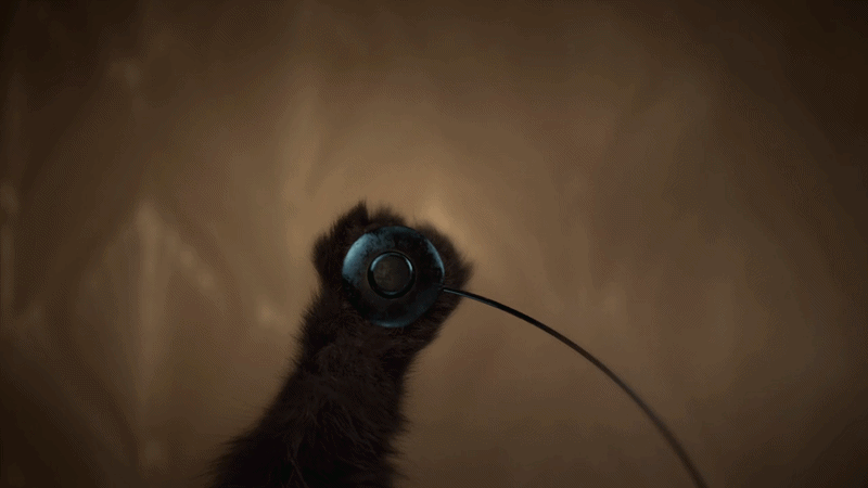 Vivienne Sabo Cabaret: коты и 2+ млн просмотров — Изображение №14 — 3D, Анимация на Dprofile