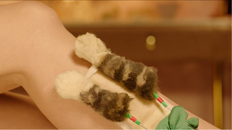 Vivienne Sabo Cabaret: коты и 2+ млн просмотров — Изображение №6 — 3D, Анимация на Dprofile