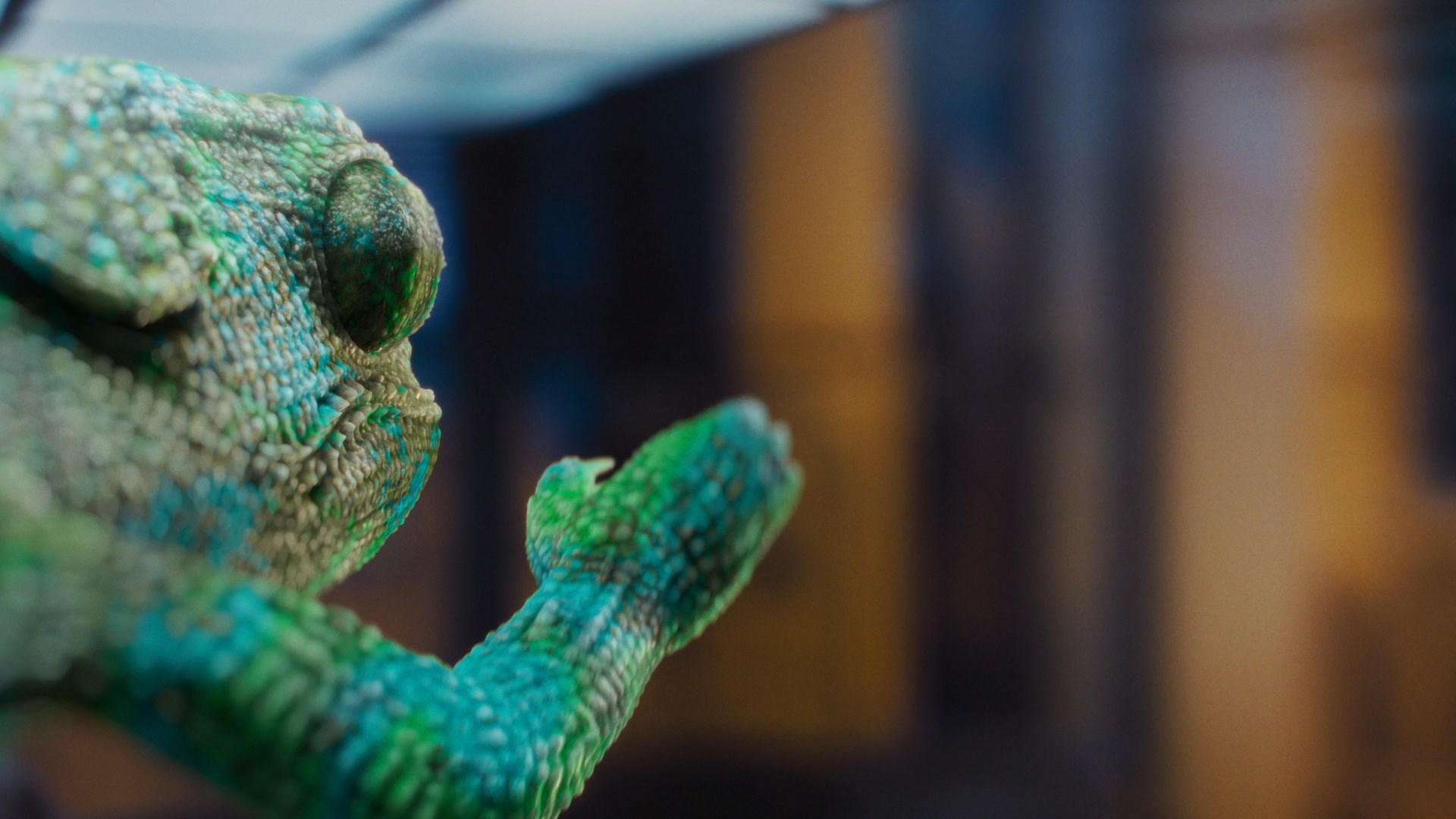 3D-хамелеон|SberPay — Изображение №3 — 3D, Анимация на Dprofile