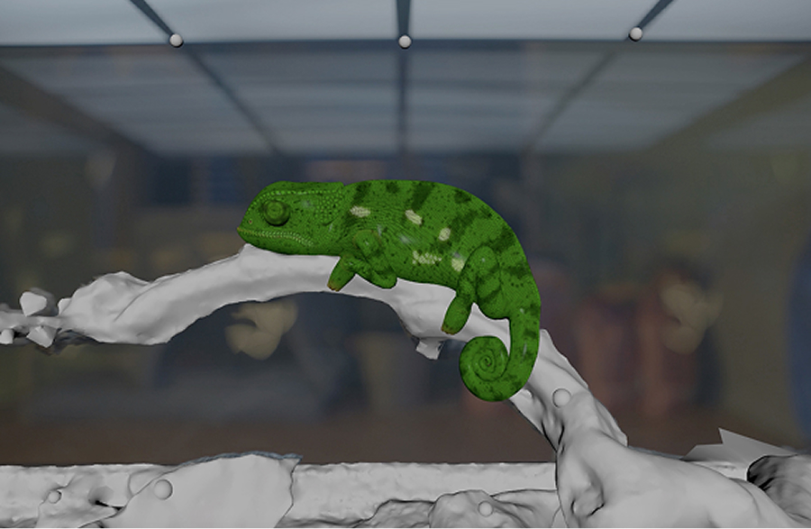 3D-хамелеон|SberPay — Изображение №13 — 3D, Анимация на Dprofile