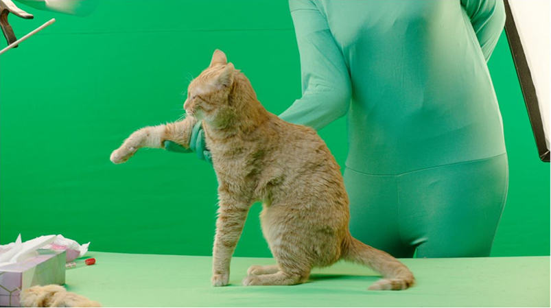 Vivienne Sabo Cabaret: коты и 2+ млн просмотров — Изображение №5 — 3D, Анимация на Dprofile