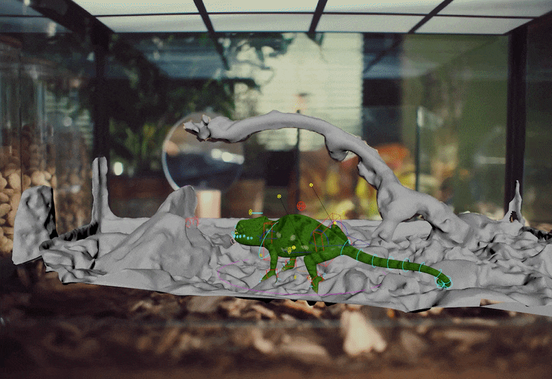 3D-хамелеон|SberPay — Изображение №21 — 3D, Анимация на Dprofile