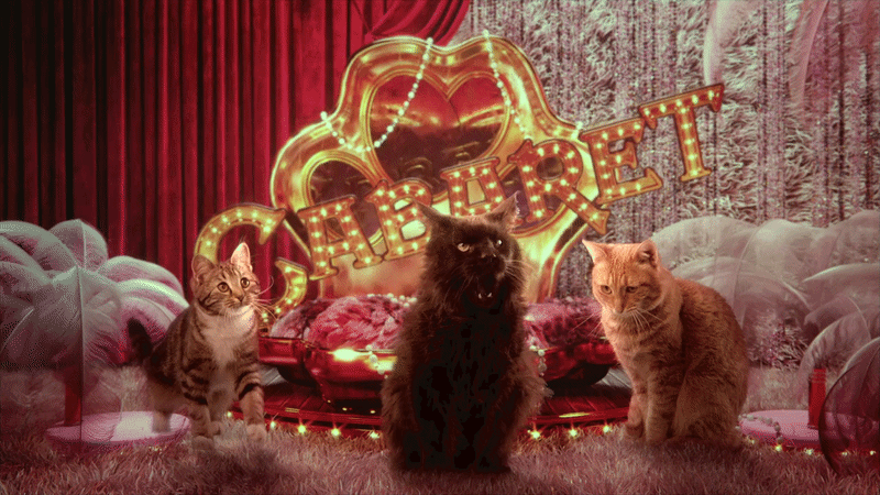 Vivienne Sabo Cabaret: коты и 2+ млн просмотров — Изображение №15 — 3D, Анимация на Dprofile