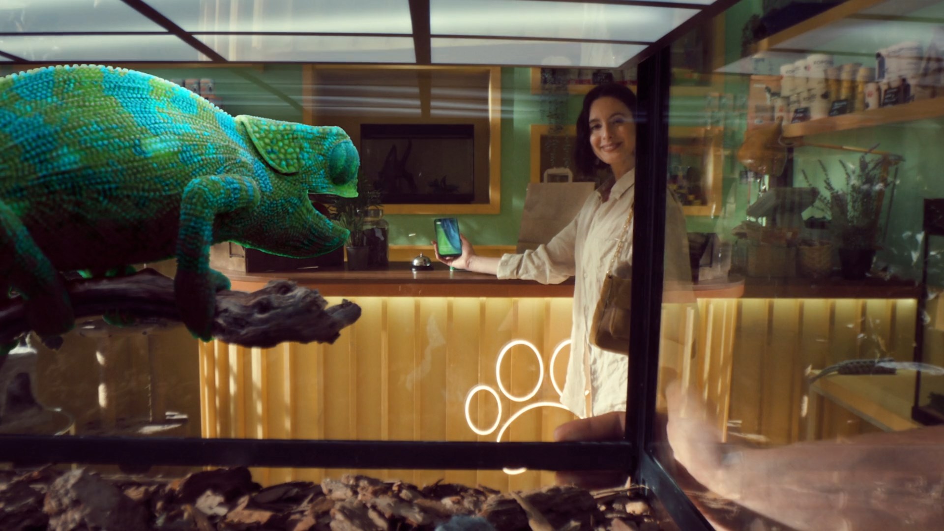 3D-хамелеон|SberPay — Изображение №5 — 3D, Анимация на Dprofile