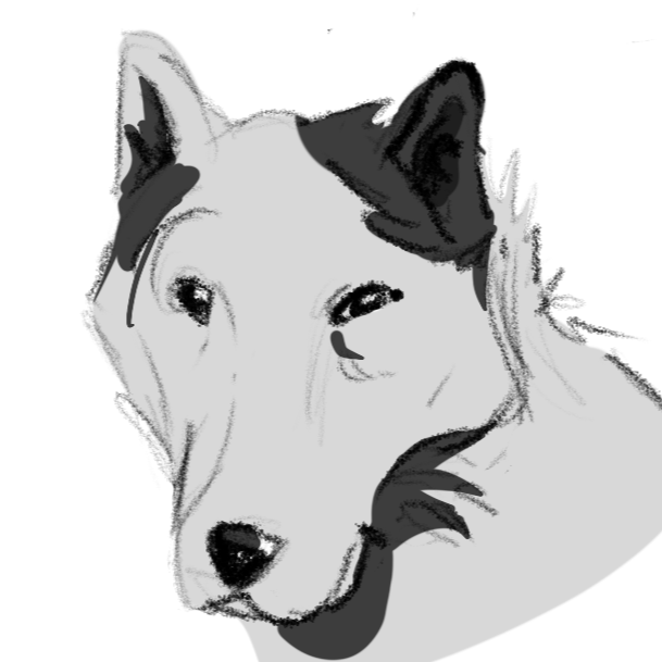 Аватар пользователя Arctic Circle