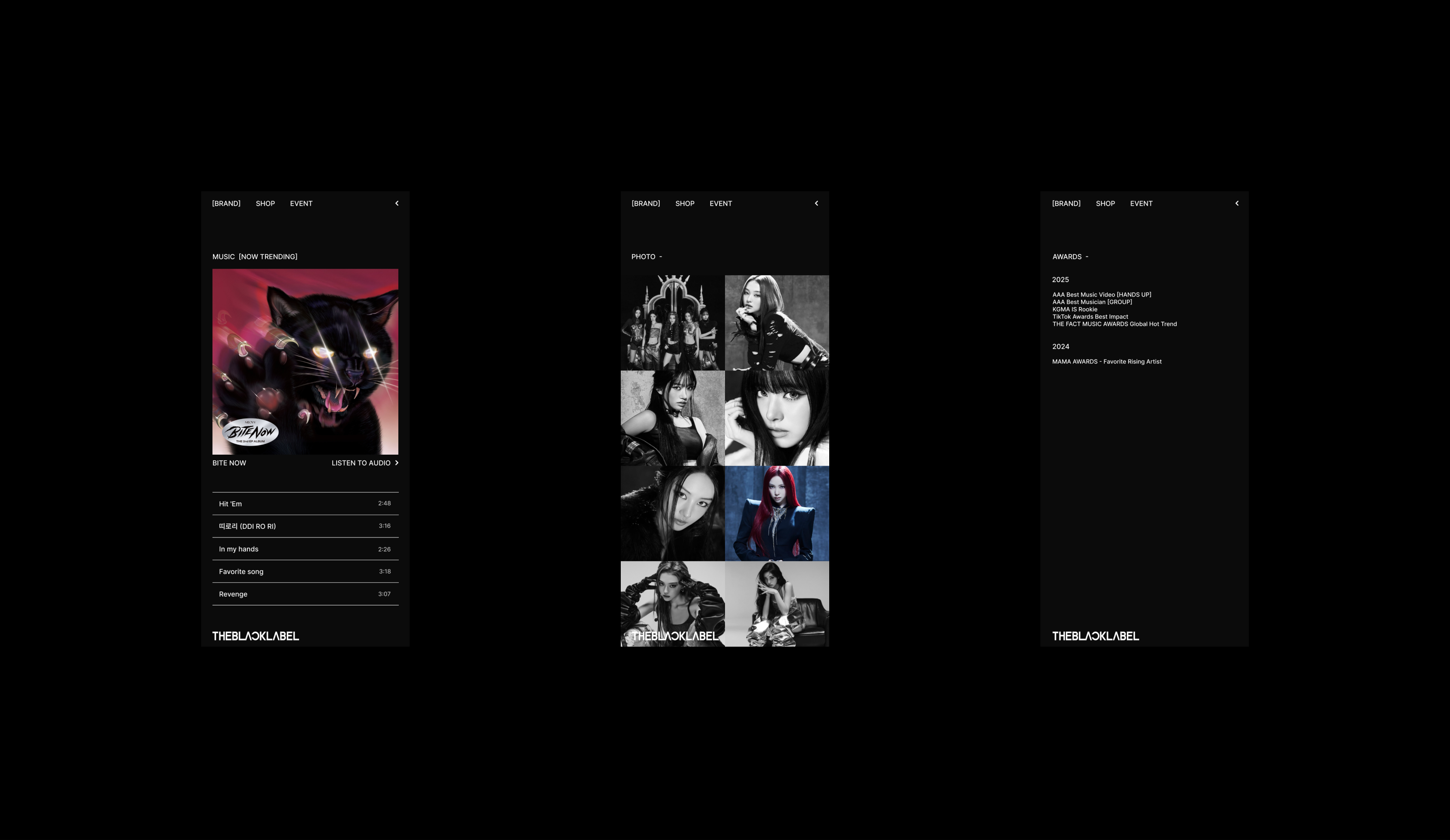 THEBLACKLABEL — RecordLabel Website Redesign — Изображение №6 — Интерфейсы на Dprofile