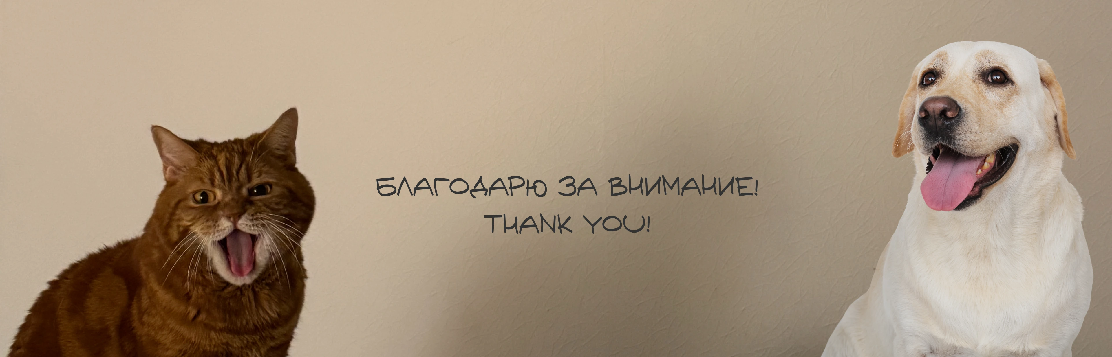 Глюкодруг | Айдентика стартапа — Изображение №10 — Брендинг на Dprofile