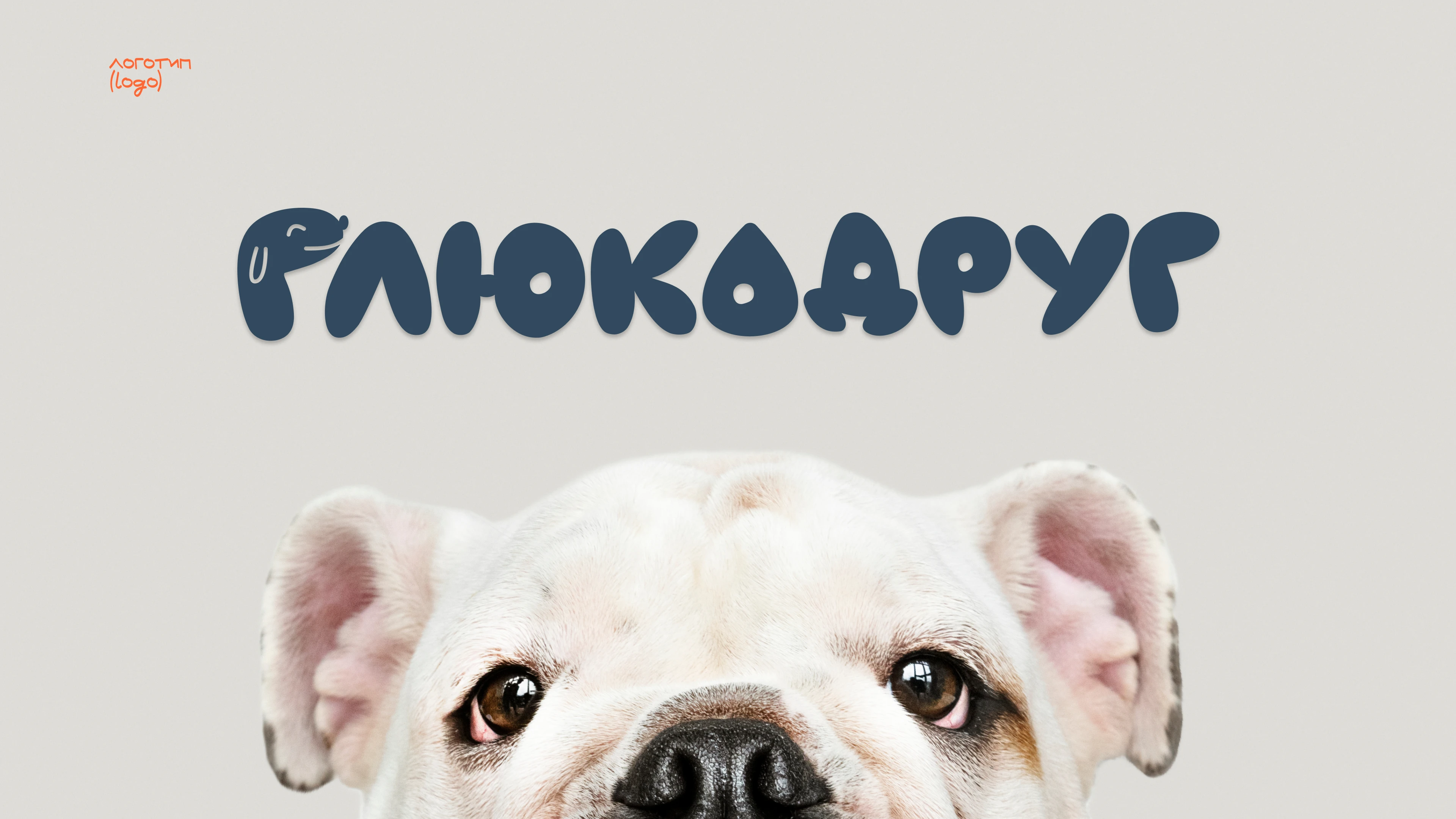 Глюкодруг | Айдентика стартапа — Изображение №4 — Брендинг на Dprofile