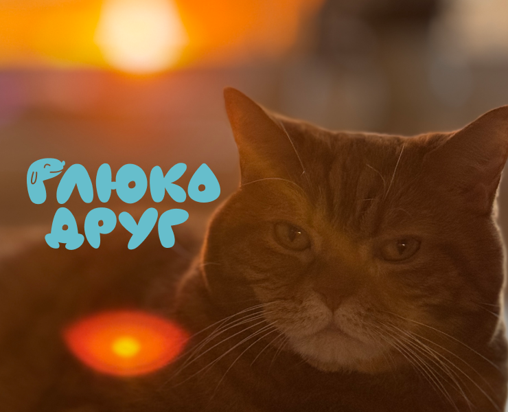 Глюкодруг | Айдентика стартапа на Dprofile