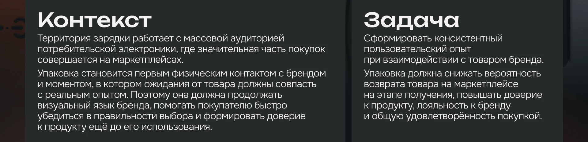 Дизайн упаковки для бренда «Территория зарядки» — Изображение №2 — Брендинг, Графика на Dprofile