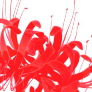 Аватар пользователя Илья Скирта