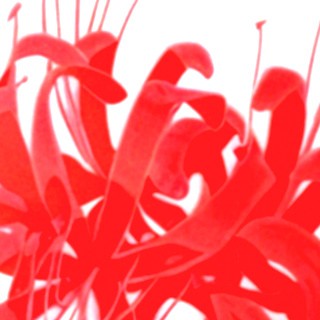 Аватар пользователя Илья Скирта