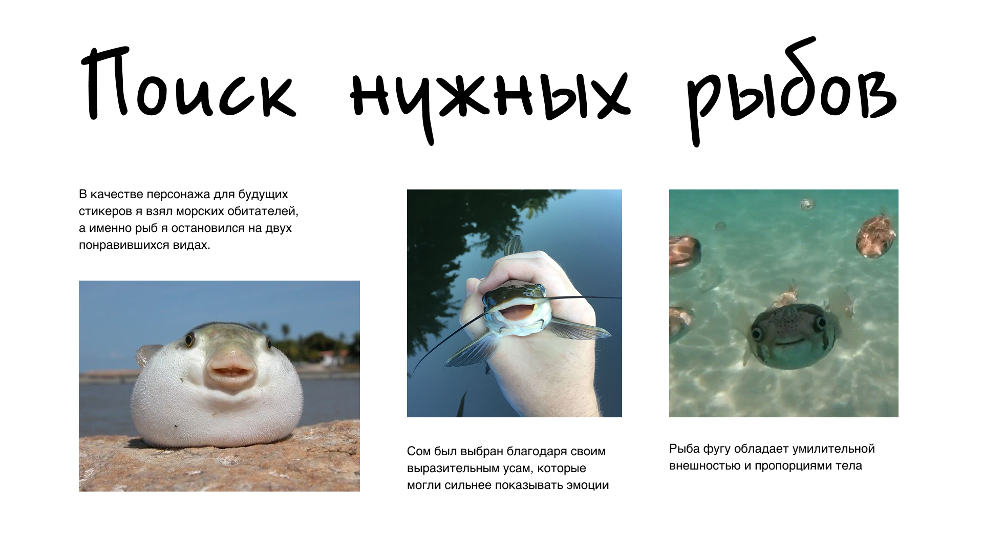 Анимированные стикеры для Telegram — Изображение №2 — Анимация на Dprofile