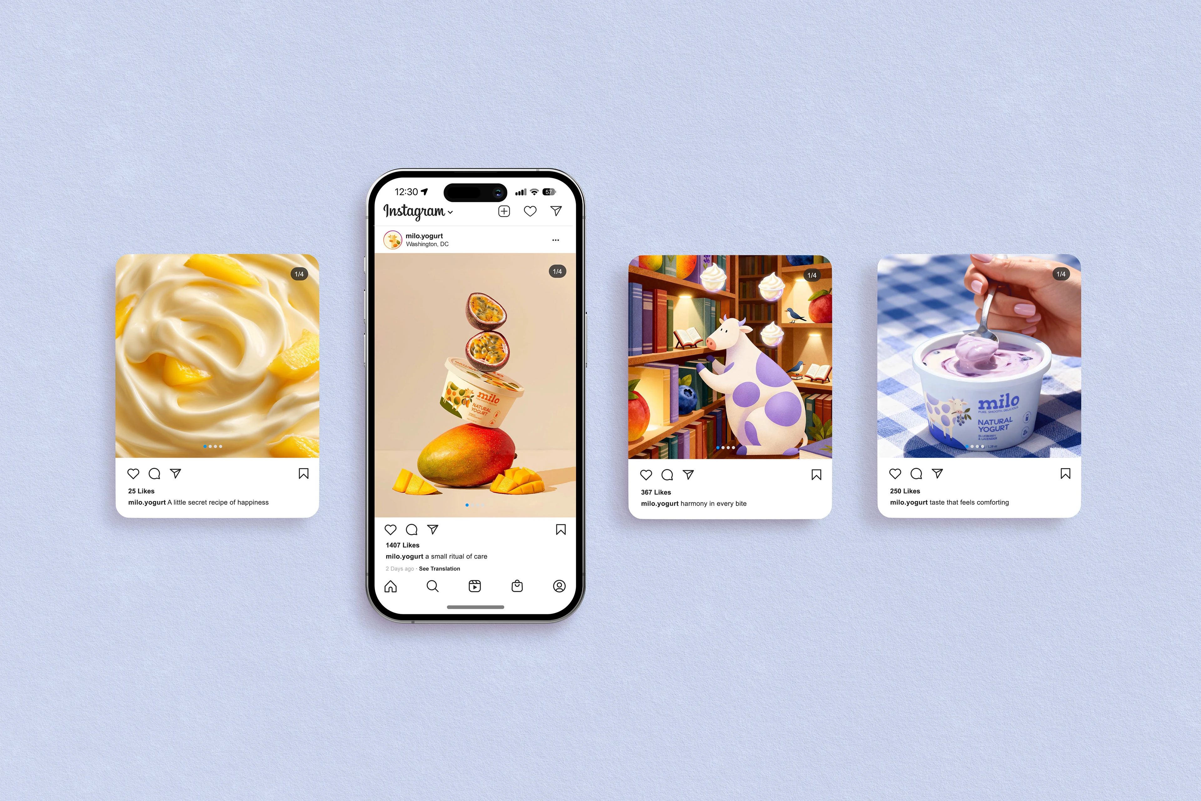 MILO YOGURT DESIGN — Изображение №16 — Брендинг, Иллюстрация на Dprofile